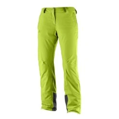 Salomon IceMania Mens Ski Pant 17 -Protest || Salomon || Dakine Store salomon pants acid lime x large salomon icemania mens ski pant 17 21234858098849